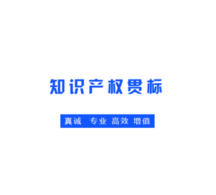 GB29490知識產(chǎn)權(quán)管理體系(貫標)